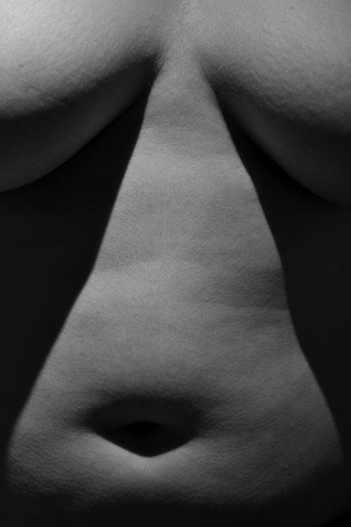 middle section