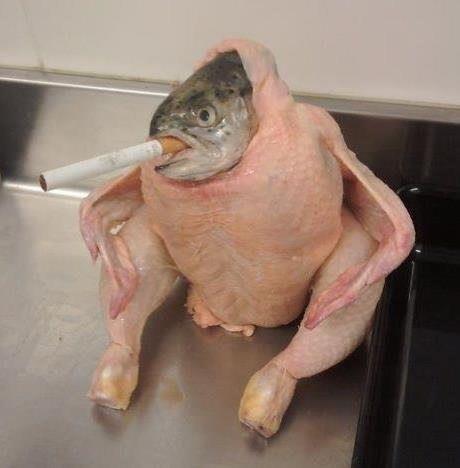 Sentido, essa foto não tem.