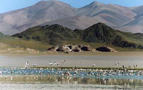 Catamarca