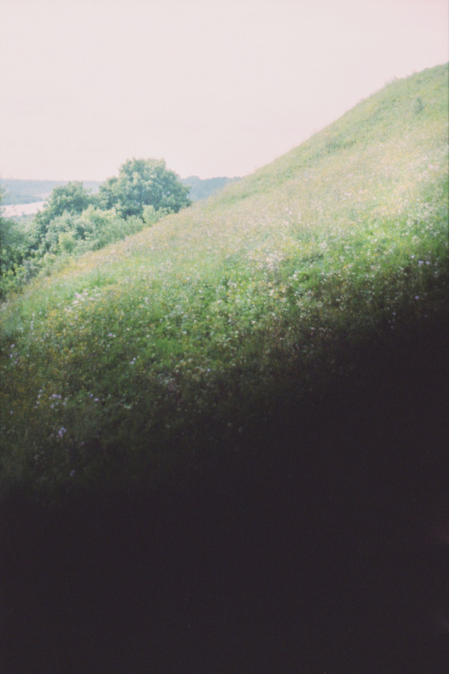 gaols:  by Lina Bielinytė 