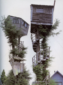 coletureconcept:  Old Chum - Untitled (2010) She lived in the tree across from me.  They hated each other so much, our dads had a competition to build the best looking tree house the fastest.  In the end of the construction, our dads built houses that