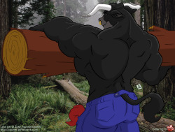 This image is of Theo, a great big bull from