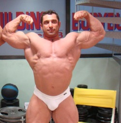 Italian muscle bull!