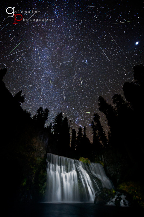 cometsmeteoroids:  2011 Orionids Meteor Shower by Brad Goldpaint