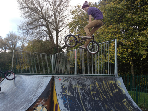 tailwhip