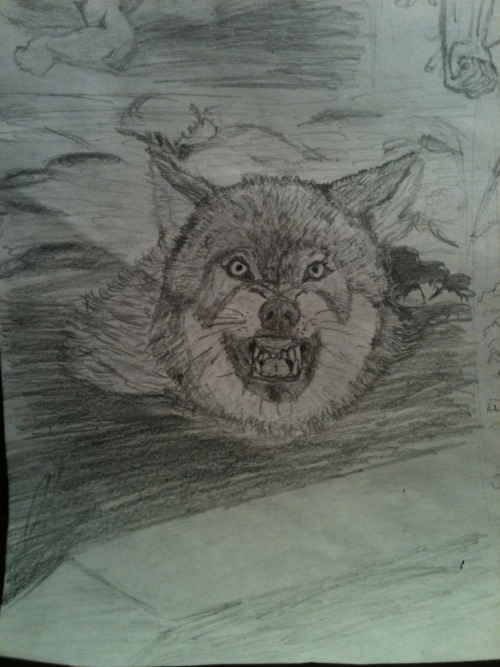 I like the wolf thing, I just copied a google pic though.  And that is all my homework for english.