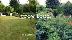 deja-djentendu:  princessmonsanto:  lawn culture is a symptom of the disease we’ve been programmed to have.   I back food growth.   This is useful. I agree with it.