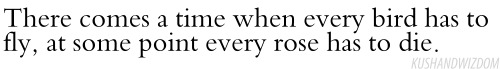 Mr RIGHT