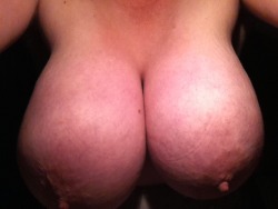 Gigi-Tits:  Hard Nipple Hangers 