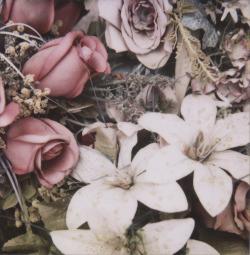 unharmed-echo:  ♕vintage/indie♕ 