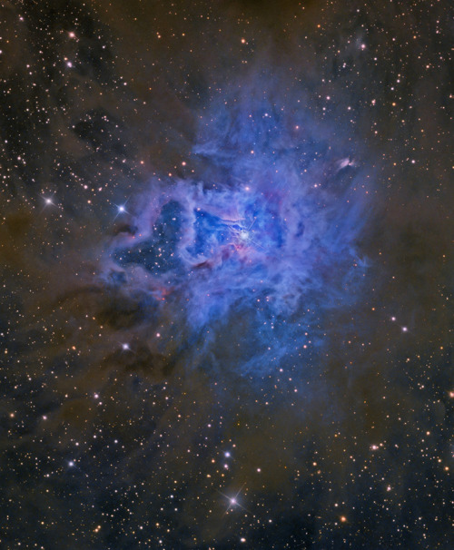 NGC 7023: The Iris Nebula (via APOD)