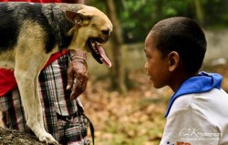 thedailywhat:  The Dog Without A Snout of the Day: Kabang jumped in front of a motorcycle last year to save the lives of two little girls in the Philippines — but she lost her snout in the process. Despite the grave injury, Kabang showed no signs of