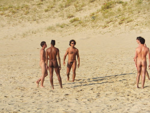 guyzbeach:  Thanks to Hugo for his submission ;-) 