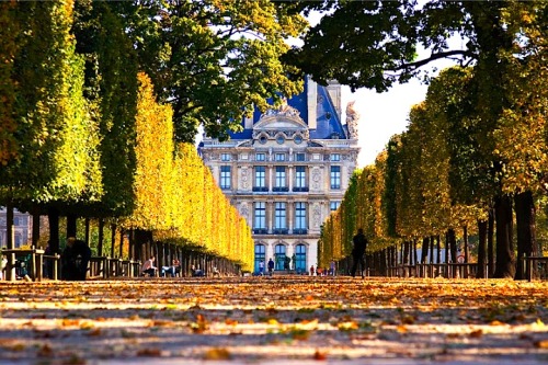 Porn photo ysvoice:  | ♕ |  Autumn in Paris - Louvre