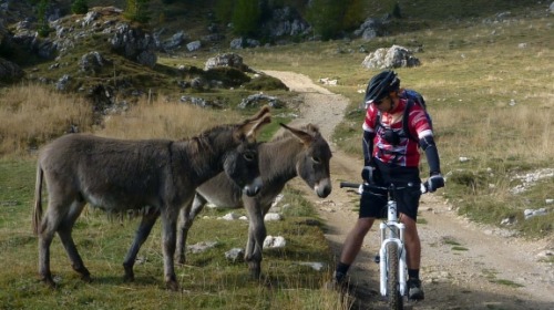 chirosangaku: MTB-Forum.it - Il miglior Catinaccio