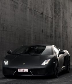 hot-automotive:  Beautiful Lamborghini Gallardo 
