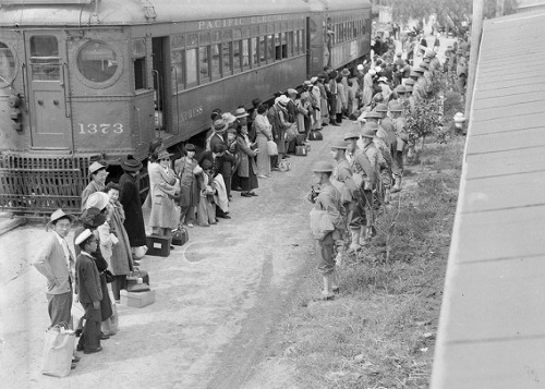 auauk:Japanese-American Internment (the result of Executive Order 9066.)
