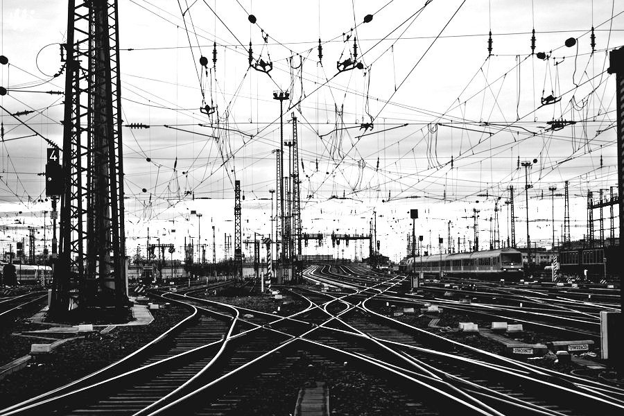 fiore-rosso:  Miguel Pires | Veins of metal. 