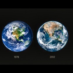 nasafanclub:  In just 34 years… something’s gone terribly wrong if you ask me. #deforestation #earth #green #nasa #Wtf by stefanlovski http://instagr.am/p/Q1QtA4GSXN/ 