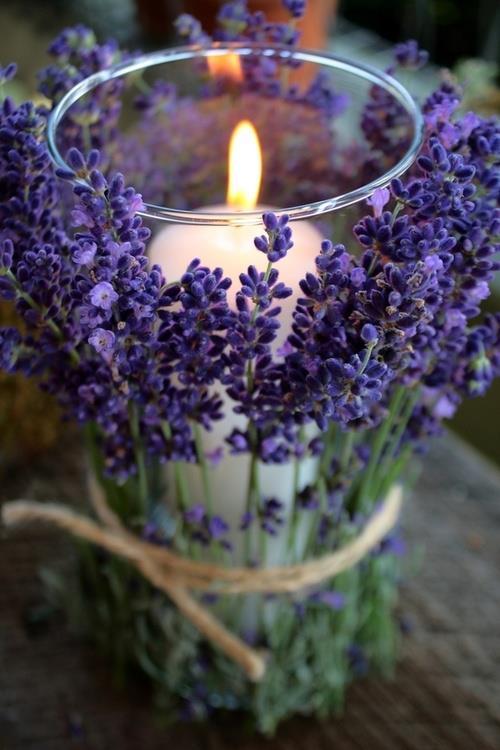 thelunafox:  Crystals, herbs, potions &amp; nature ~ ☾ • ˚ * 。 •  