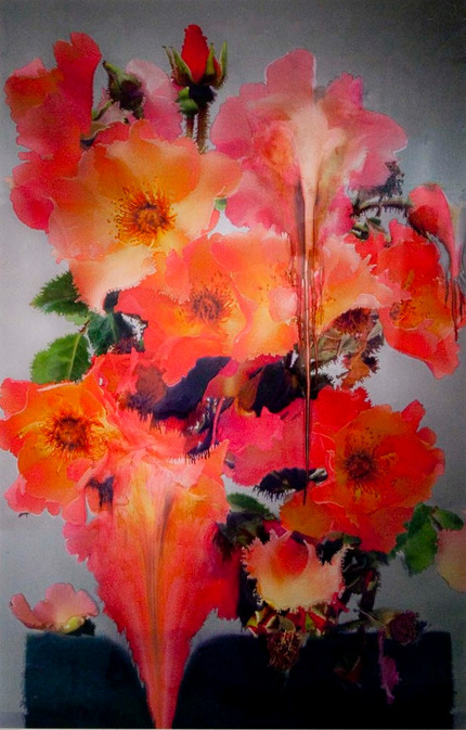 Nick Knight