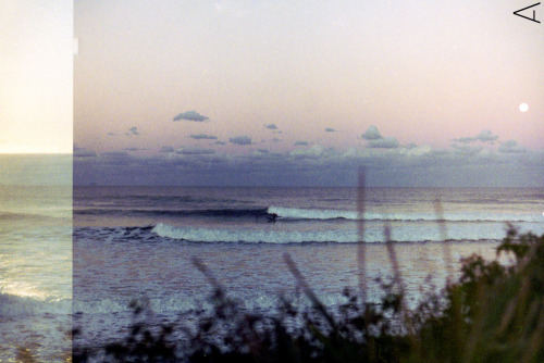 XXX alexbrunton:  35mm | The solo moon dancer.  photo