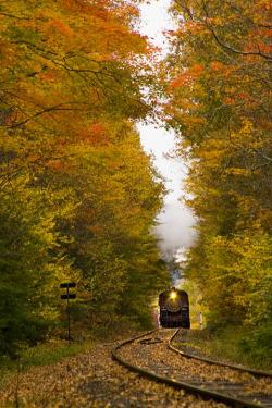 bluepueblo:  Autumn Railroad, Middlesex,