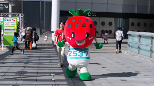 This strawberry-head character started running toward me randomly while I was taking snaps at Tokyo 
