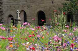 medievallove:AUBAZINE (Corrèze) by Gérard