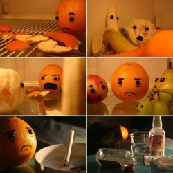 thegeekstravels:  Poor Mr. Orange…  Mr.