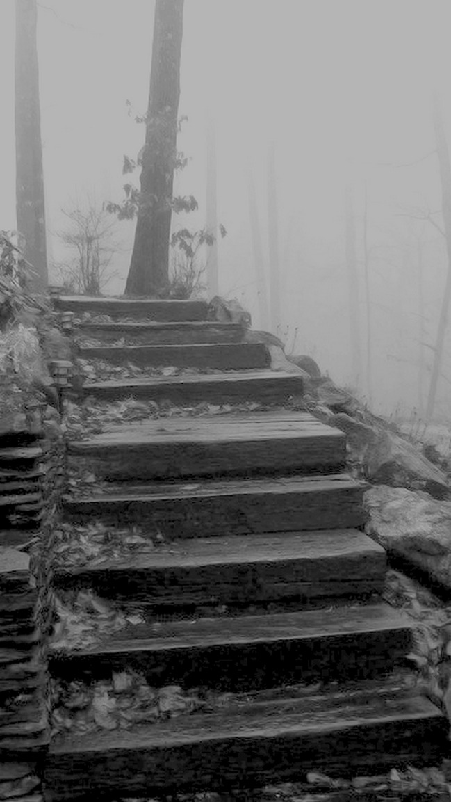 another awesome black and white foggy photo