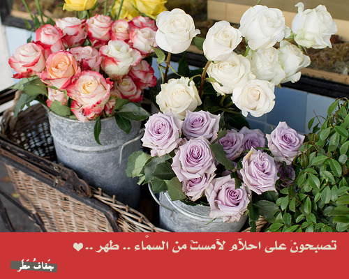 جَفافُ مَطَرْ
