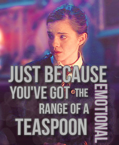 thehorcruxhunter:  Favourite Quotes → Hermione