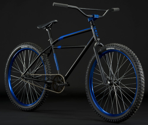pwotty:  fuzzyimages:  yup. I would. And I’d thrash it.   Love this. Fun on two wheels