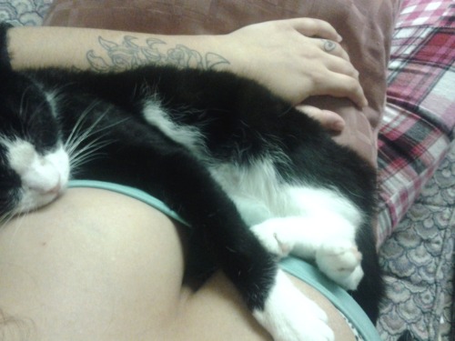 pierced-andlovely:  Willy got the best seat in the house 