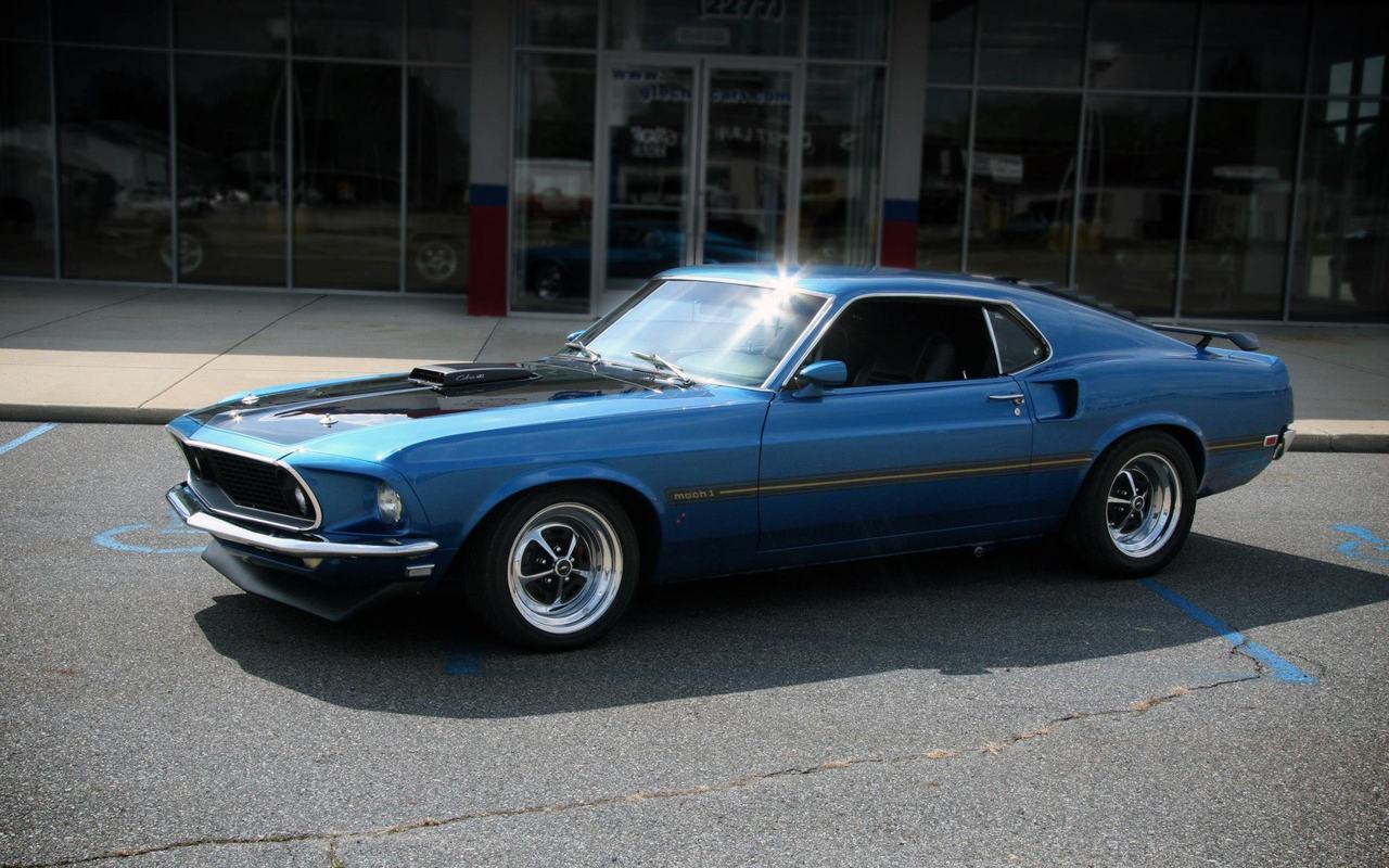 Ford Mustangs