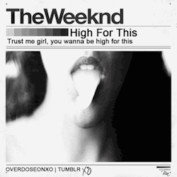 xxx tumblr