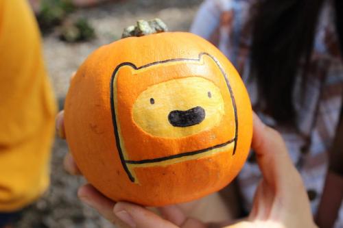 Finn & Jake, the pumpkins! By moi.