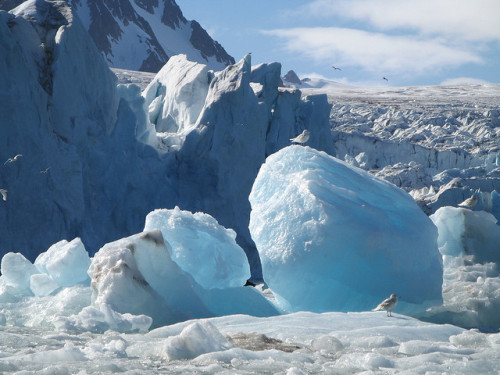 The coastal ice front of the Monaco Glacier in Svalbard Archipelago, Norway (by golden road).