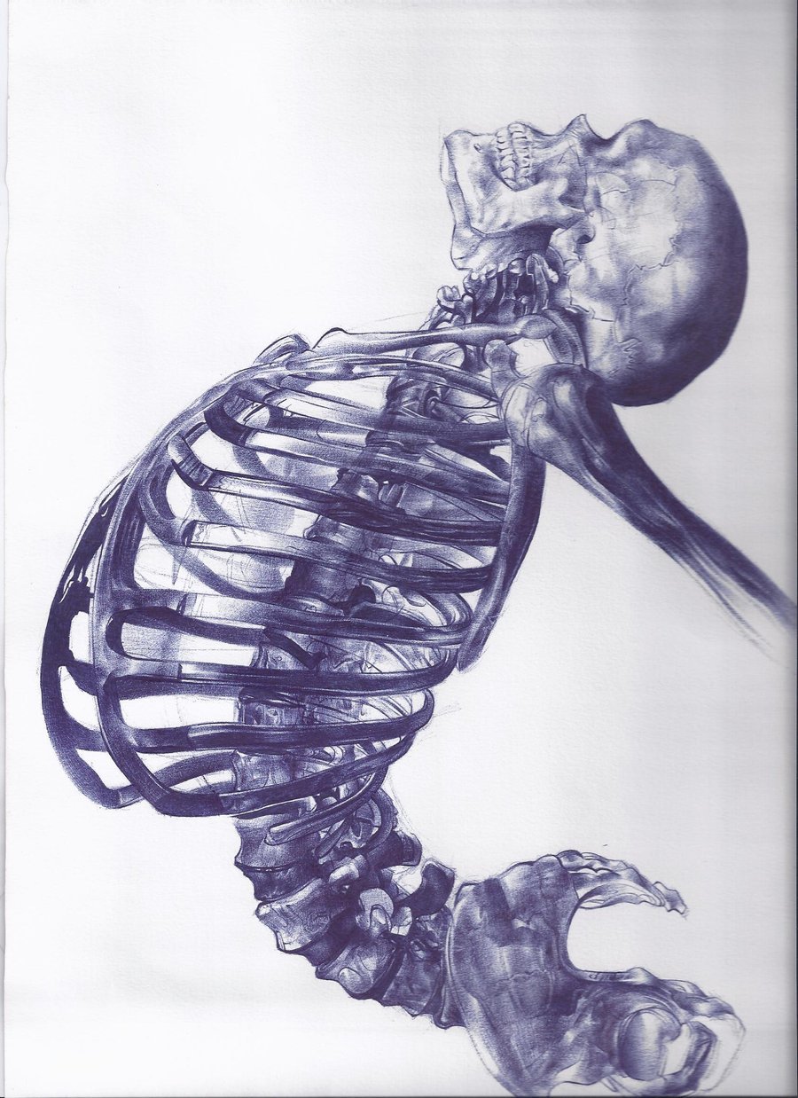 fer1972: Scheletro Umano by Andrea Schillaci 