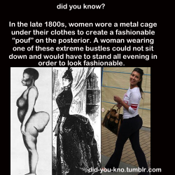 did-you-kno:  Source:  Swain, Ruth Freeman. 2008. Underwear: What We Wear Under There.