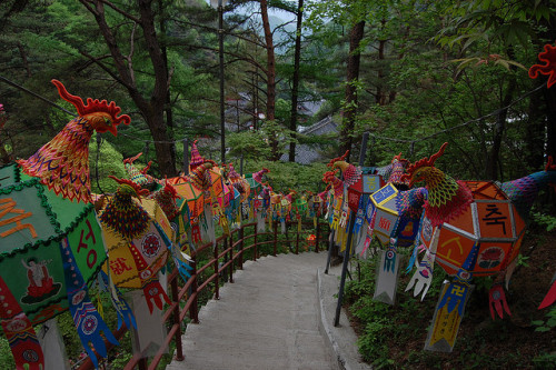 The path to Guinsa temple complex in North Chungcheong, South Korea (by cameroonjb).