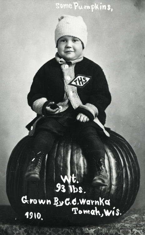 Boy Sitting on Pumpkin. Studio portrait. 1910.