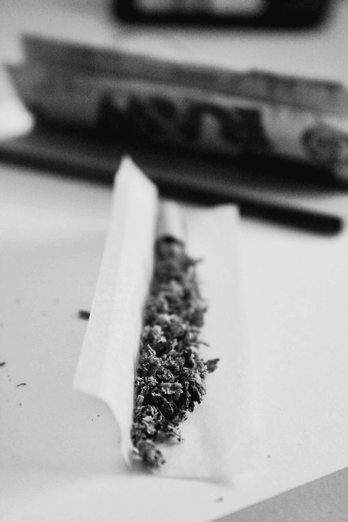 ✖✖✖ 
