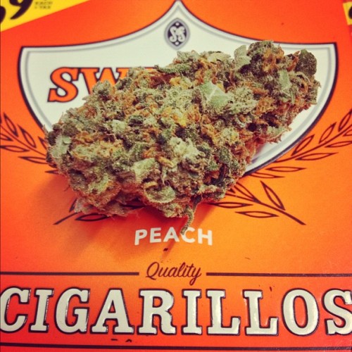 Smells Like Bong Water