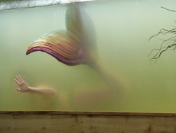 a-siren-song:  Beauty in the Water by ~Ninjagimli