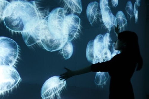 leslieseuffert:  Movement Swimming in a glowing, underwater sea of jellyfish would be a really beautiful experience. But, with limited access to the deep sea, this interactive installation by artist Takahiro Matsuo could be considered a backup to that