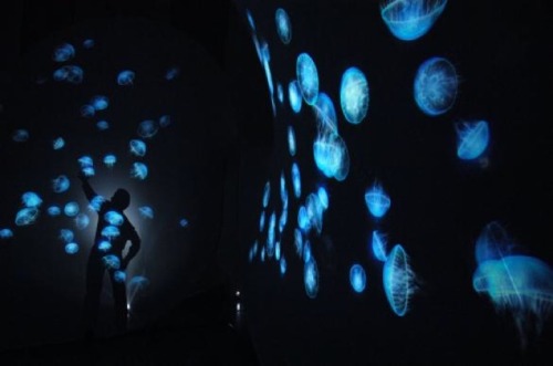 leslieseuffert:  Movement Swimming in a glowing, underwater sea of jellyfish would be a really beautiful experience. But, with limited access to the deep sea, this interactive installation by artist Takahiro Matsuo could be considered a backup to that