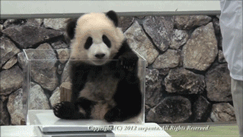 fyeahlilbitoyoursoul:  A glass case of emotion! 