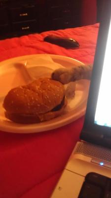 lgniteyour-bones:  my cat decided to lay her paw on my burger for a good 5 minutes from behind my laptop i died 